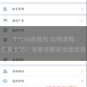 Bitpie热钱包 比特派钱包安全吗？专家详解其全面优势