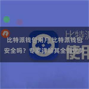 比特派钱包用户 比特派钱包安全吗？专家详解其全面优势