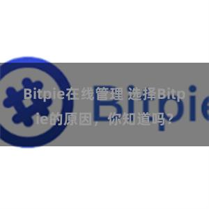 Bitpie在线管理 选择Bitpie的原因，你知道吗？